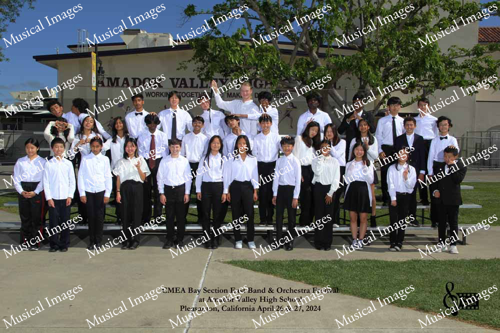 Musical Images